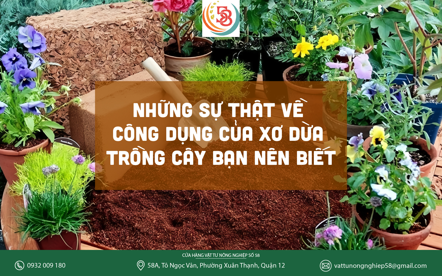 NHỮNG SỰ THẬT VỀ CÔNG DỤNG CỦA XƠ DỪA TRỒNG CÂY BẠN NÊN BIẾT